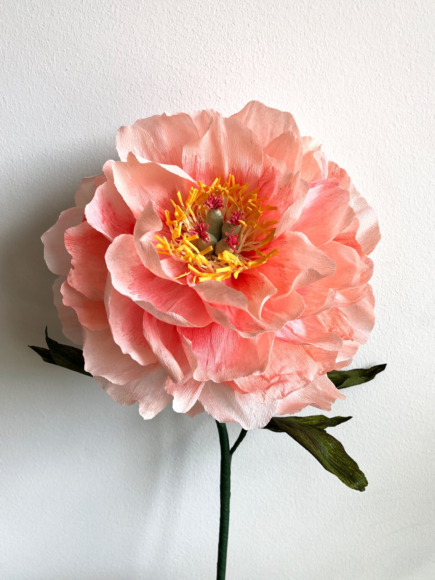 coral-peony