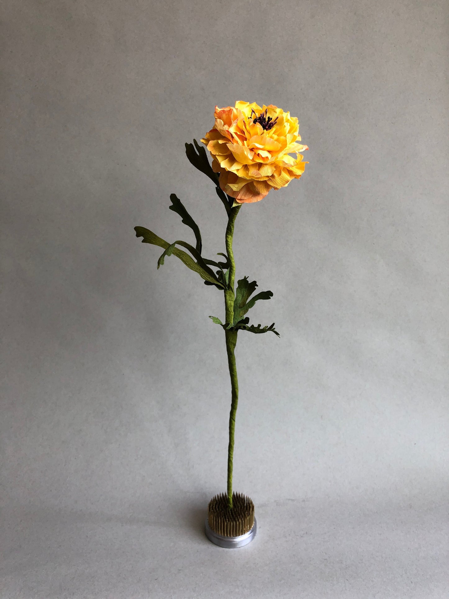 fluffy-yellow-ranunculus