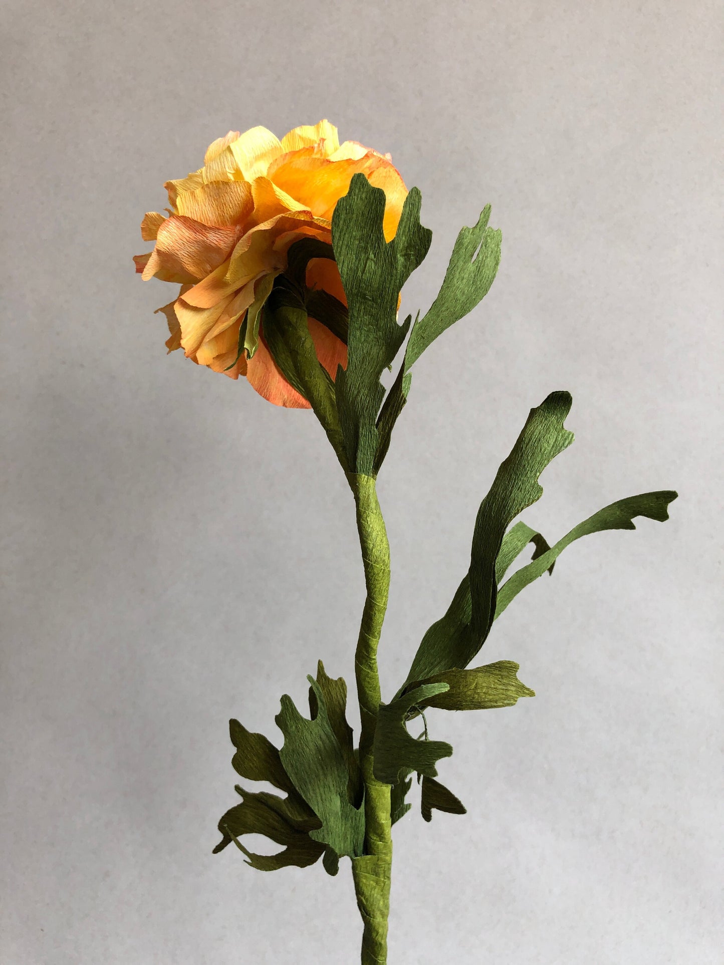 fluffy-yellow-ranunculus