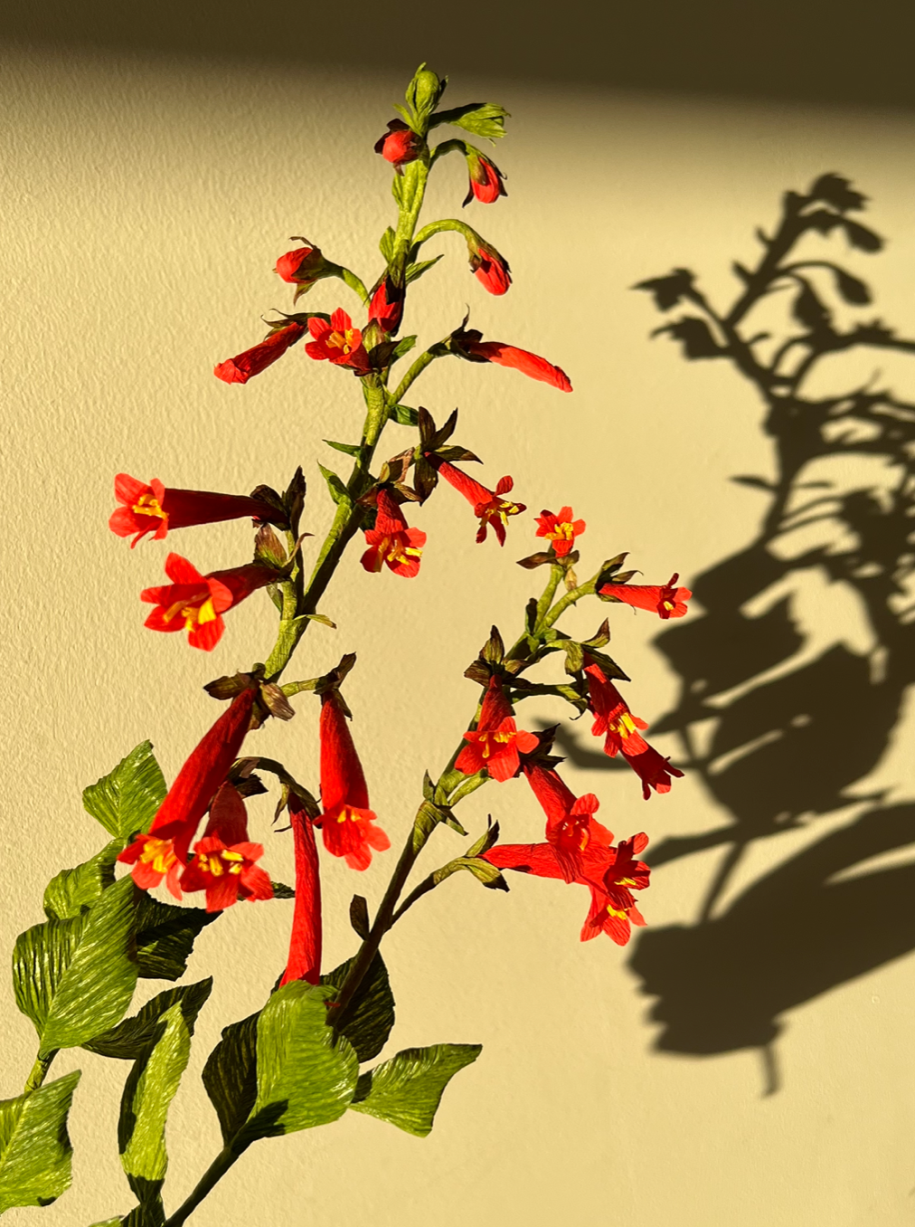 paper-eatons-penstemon