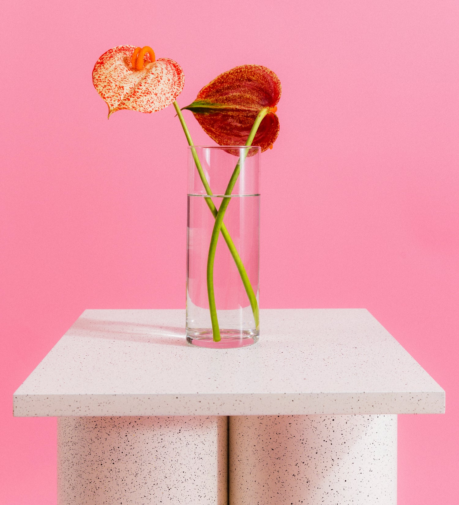 About | Maison de Fleurs by Miya