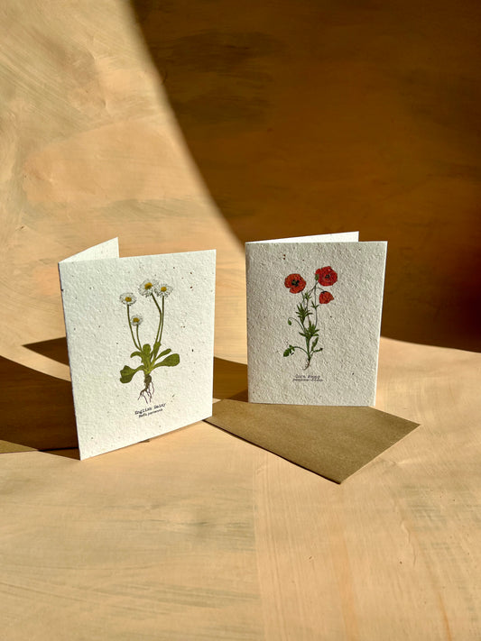 wildflower-seeed-card