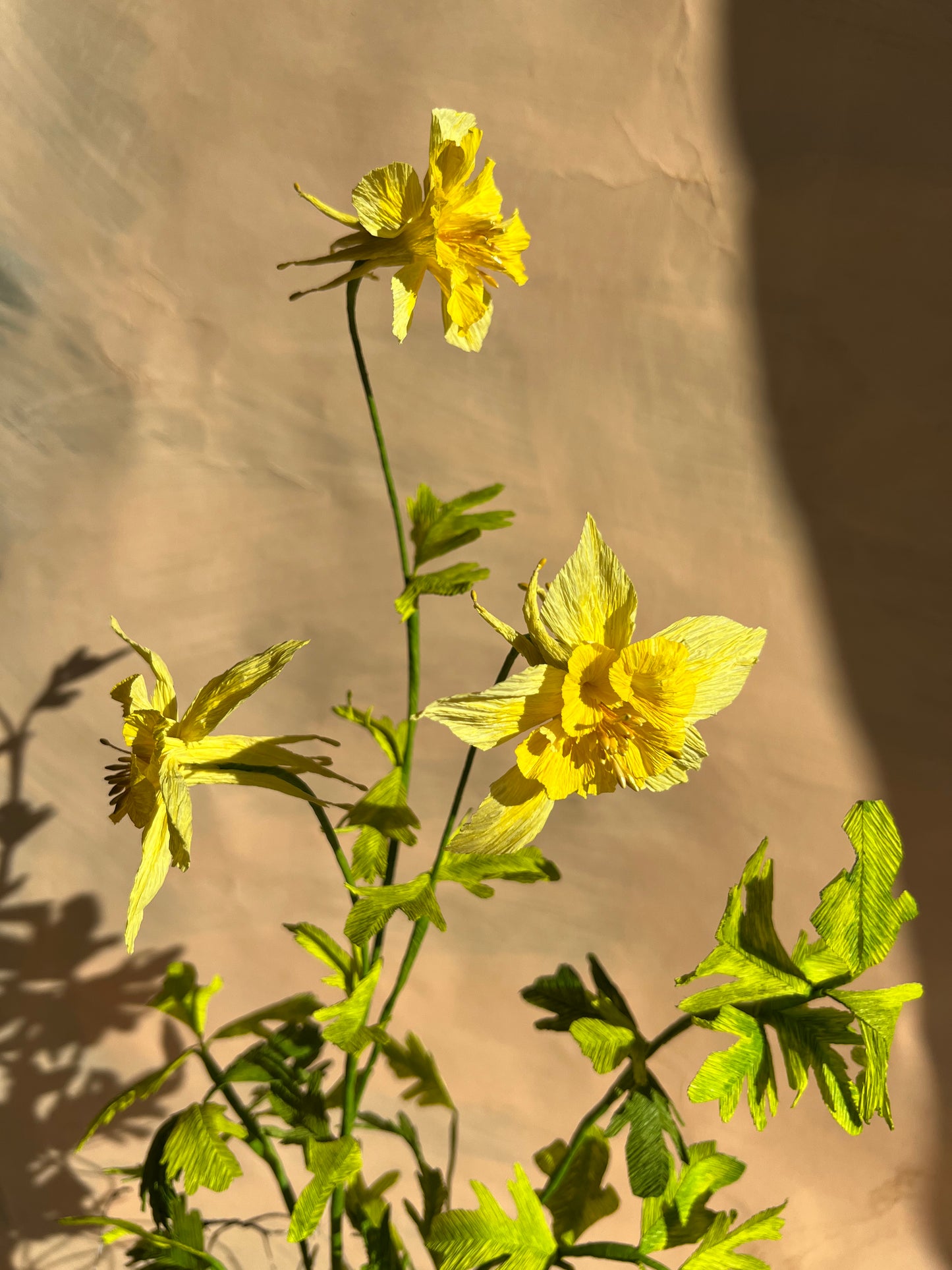 papeer-golden-columbine-wildflower